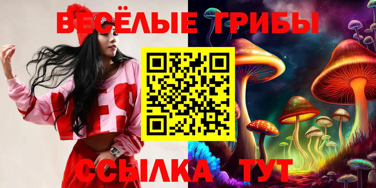 Псилоцибиновые грибы MAGIC MUSHROOMS  Вход с VPN  Балтийск 